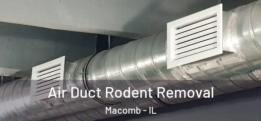  Air Duct Rodent Removal Macomb - IL