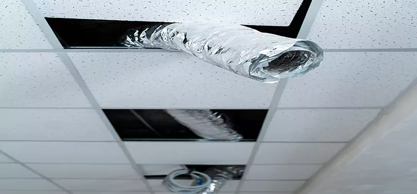 Our Air Duct Pet Hair Removal Services in Macomb, IL