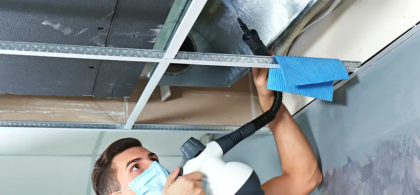 Our Air Duct Rodent Removal Services in Macomb, IL