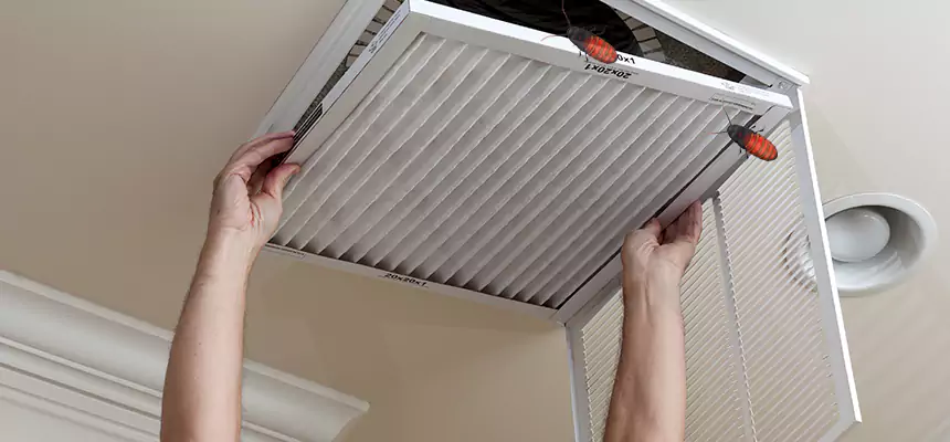 Our Insect Removal from Air Ducts Services in Macomb, IL