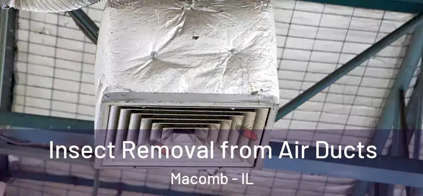 Insect Removal from Air Ducts Macomb - IL