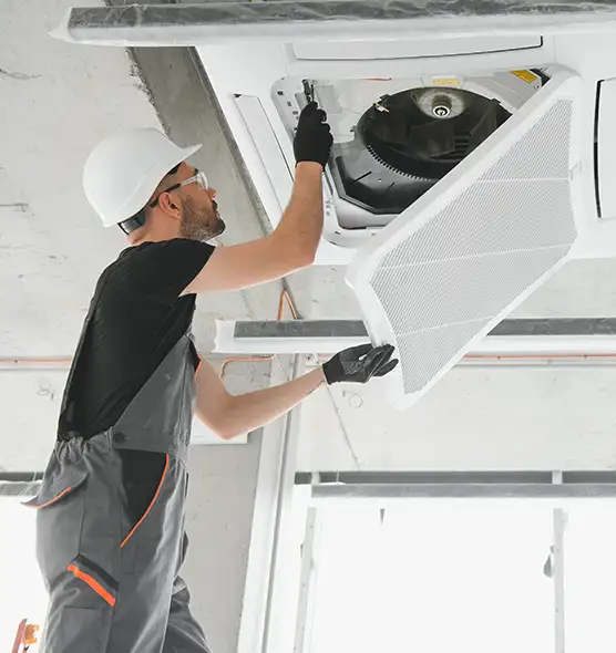 About Air Duct Rodent Removal in Macomb, IL