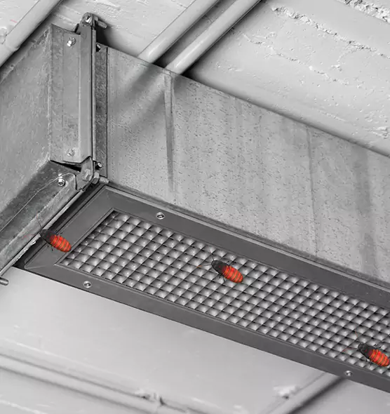 Affordable Insect Removal from Air Ducts in Macomb, IL