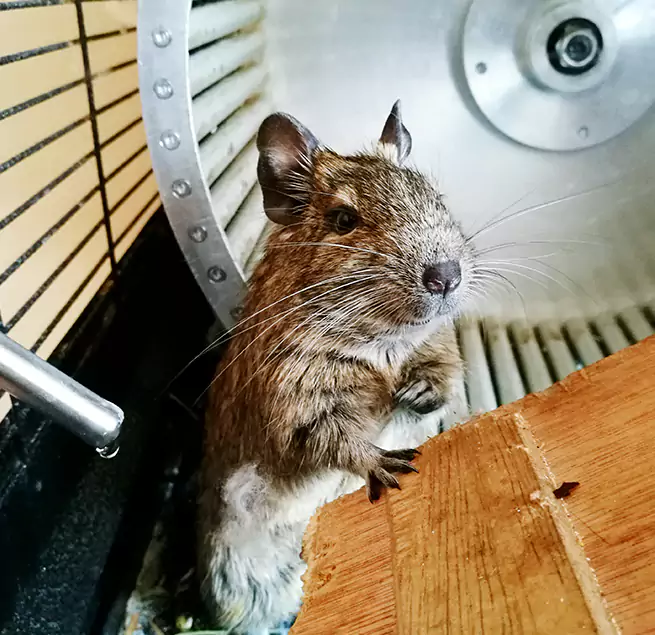 Why Homeowners & Businesses Trust Us Macomb, IL