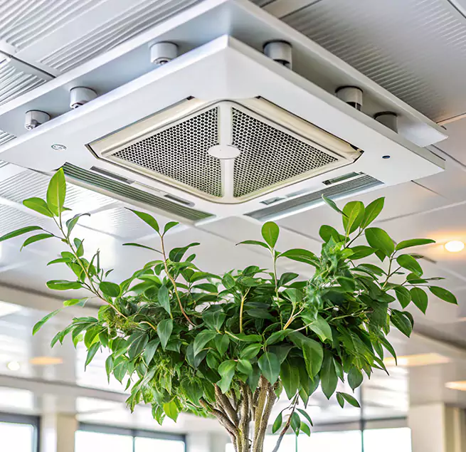 Why Homeowners & Businesses Trust Us in Macomb, IL