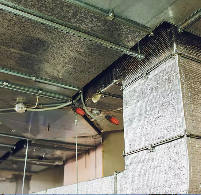 Why Homeowners & Businesses Trust Us Macomb, IL?